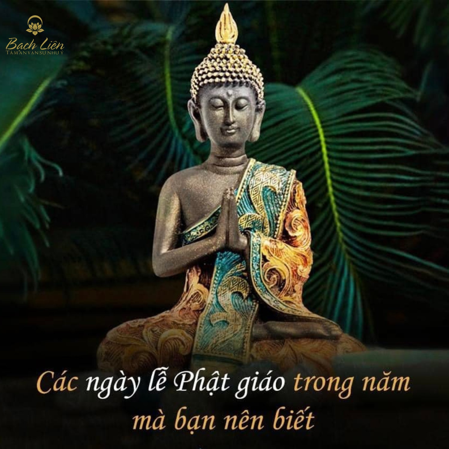 335466426_769112867788635_23534817292422785_n.jpg (305 KB)